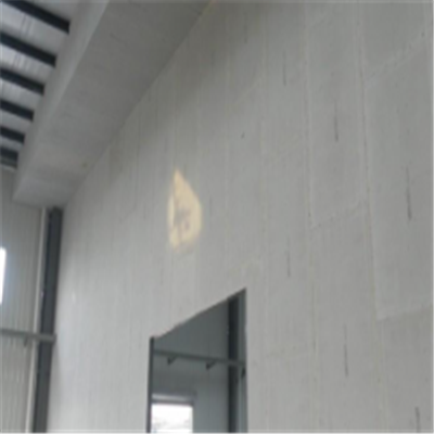 镇平宁波ALC板|EPS加气板隔墙与混凝土整浇联接的实验研讨